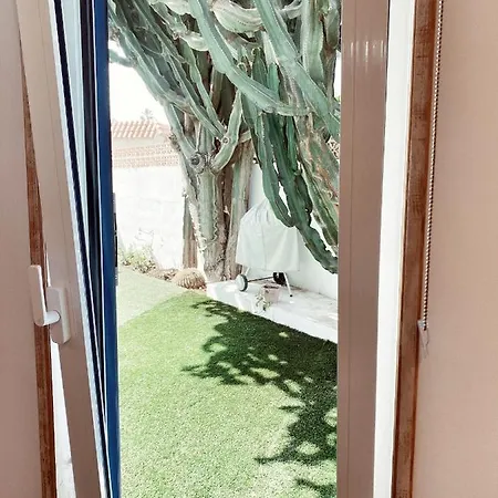 Casa Cactus-2