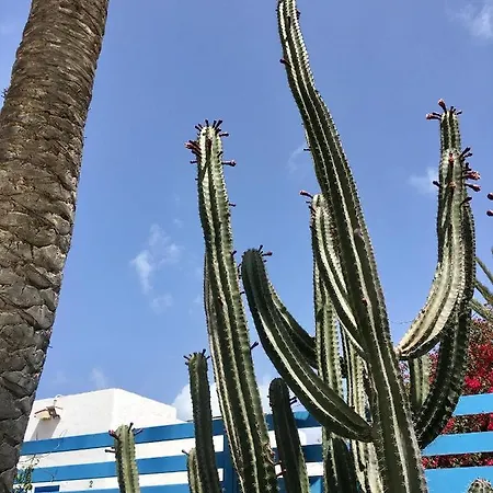 Casa Cactus-3